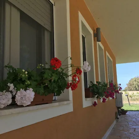 Arzilla Sardegna * Alghero