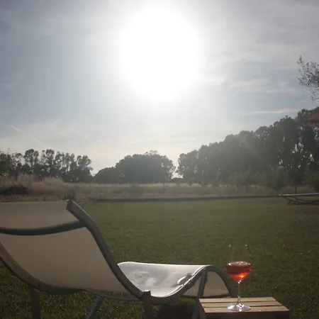 Arzilla Sardegna * Alghero