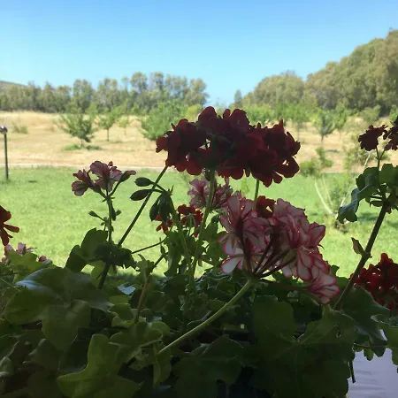 Arzilla Sardegna Gospodarstwo wiejskie Alghero