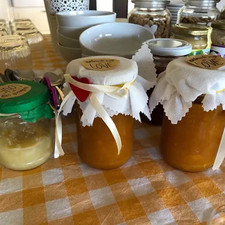 Arzilla Sardegna Gospodarstwo wiejskie