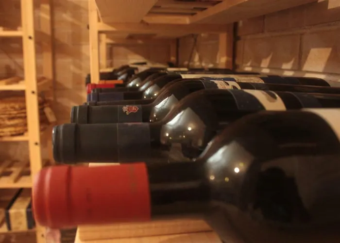 Arzilla Sardegna * 阿尔盖罗