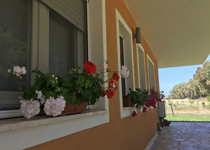 Arzilla Sardegna * 阿尔盖罗