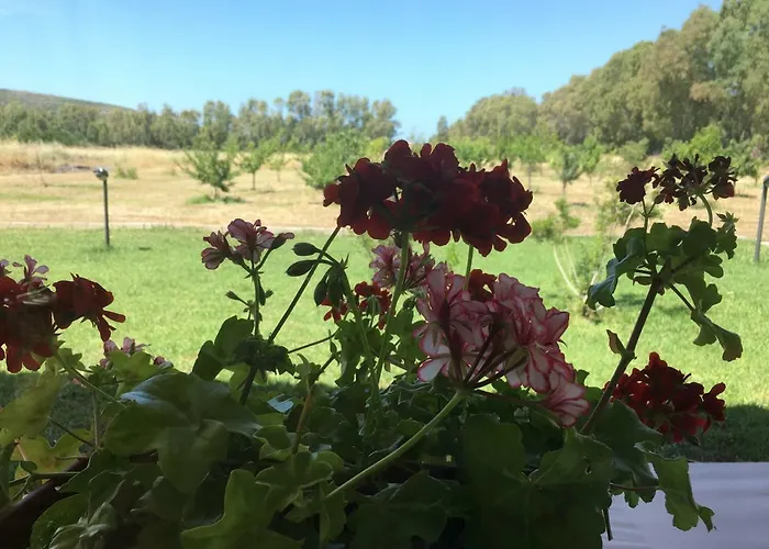 Arzilla Sardegna 乡村民宿 阿尔盖罗