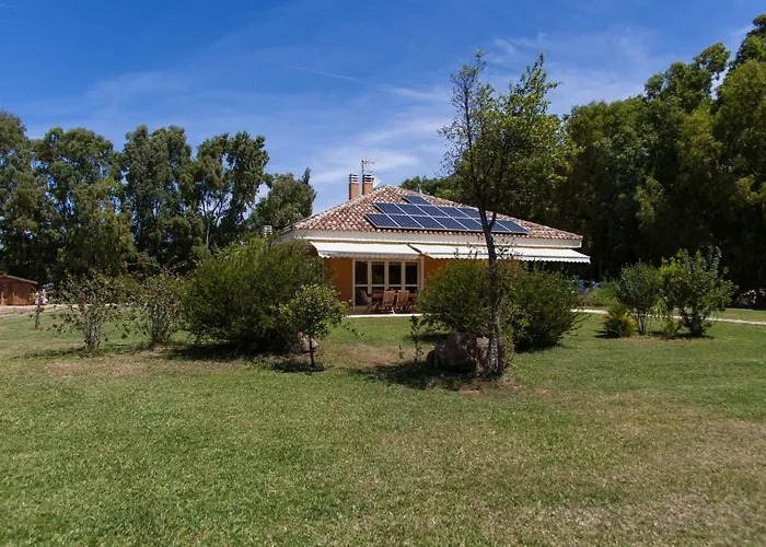 Arzilla Sardegna * Alghero