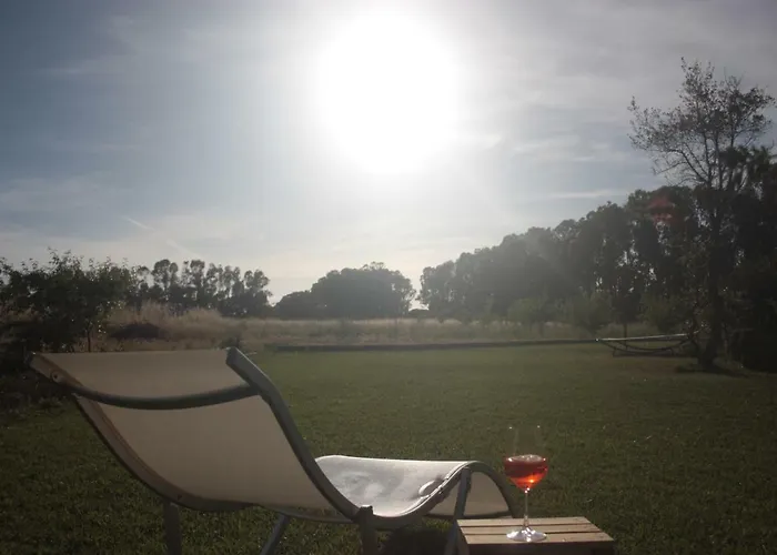 Arzilla Sardegna * Alghero