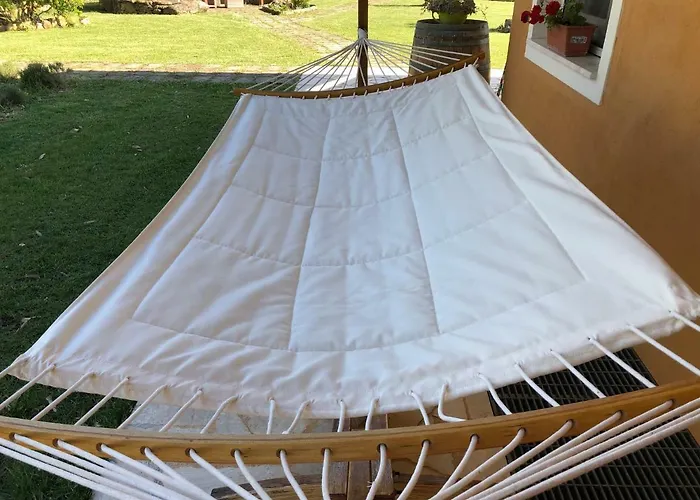 Arzilla Sardegna * Alghero